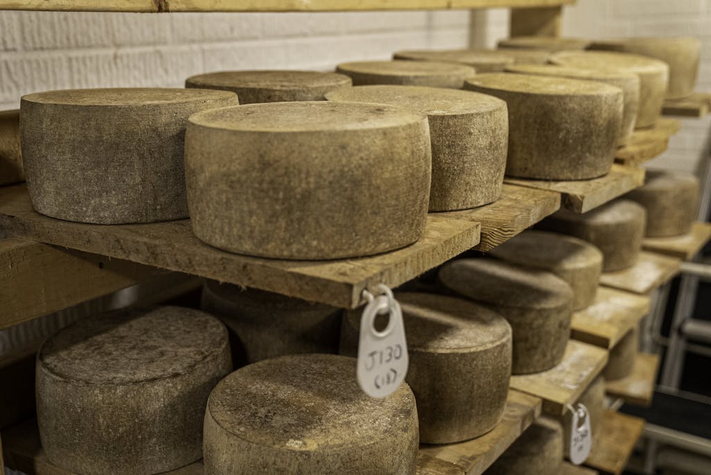 Close-up of cheese wheels aging on wooden shelves in an artisanal cheese cellar.
